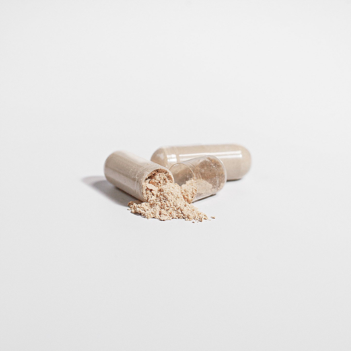 Cordyceps Mushroom Supplement