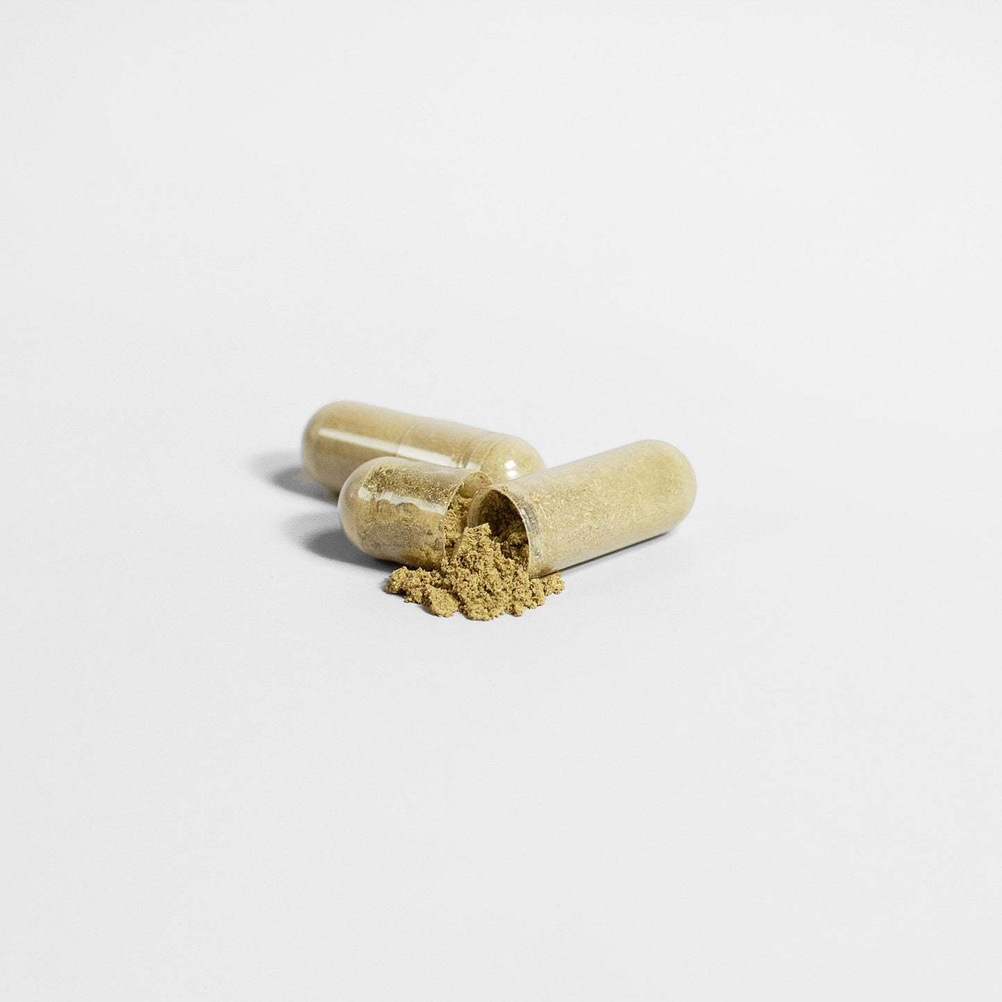 Ginkgo Biloba Herb + Ginseng Supplement